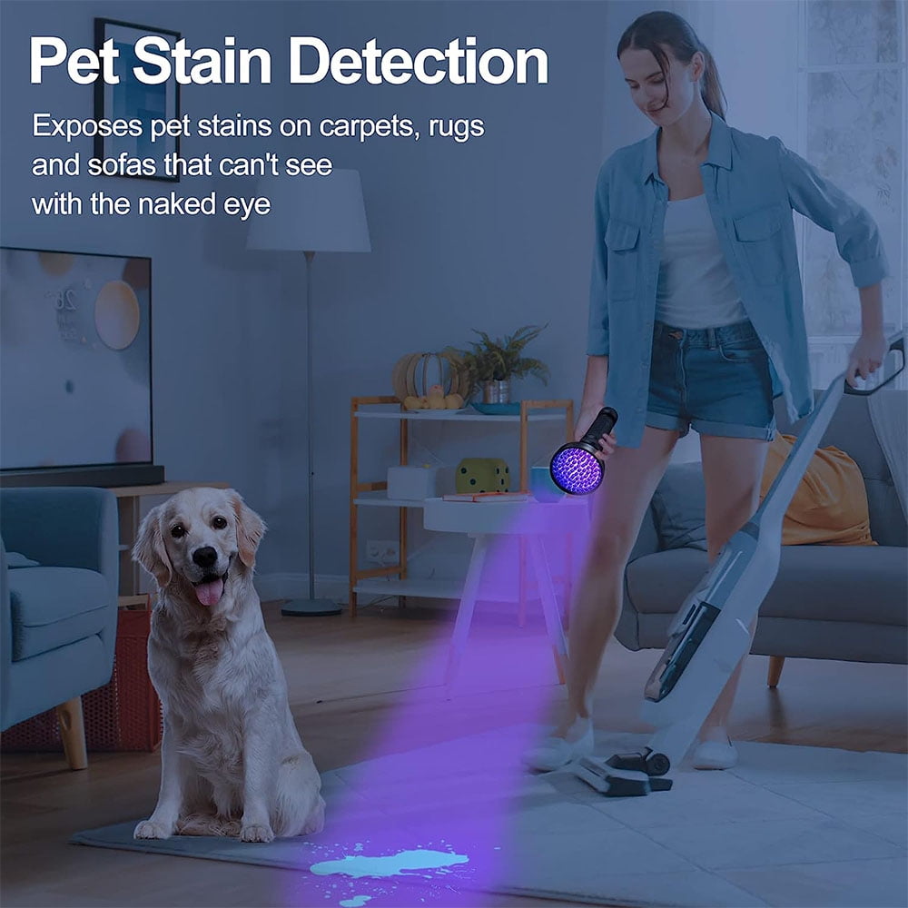 Puseky UV Flashlight Black Light 100 LED Light Handheld Blacklight 395 nM Detector for Pet Urine, Stains, Bed Bug and Scorpions, Torch Ultra Violet Flashlight