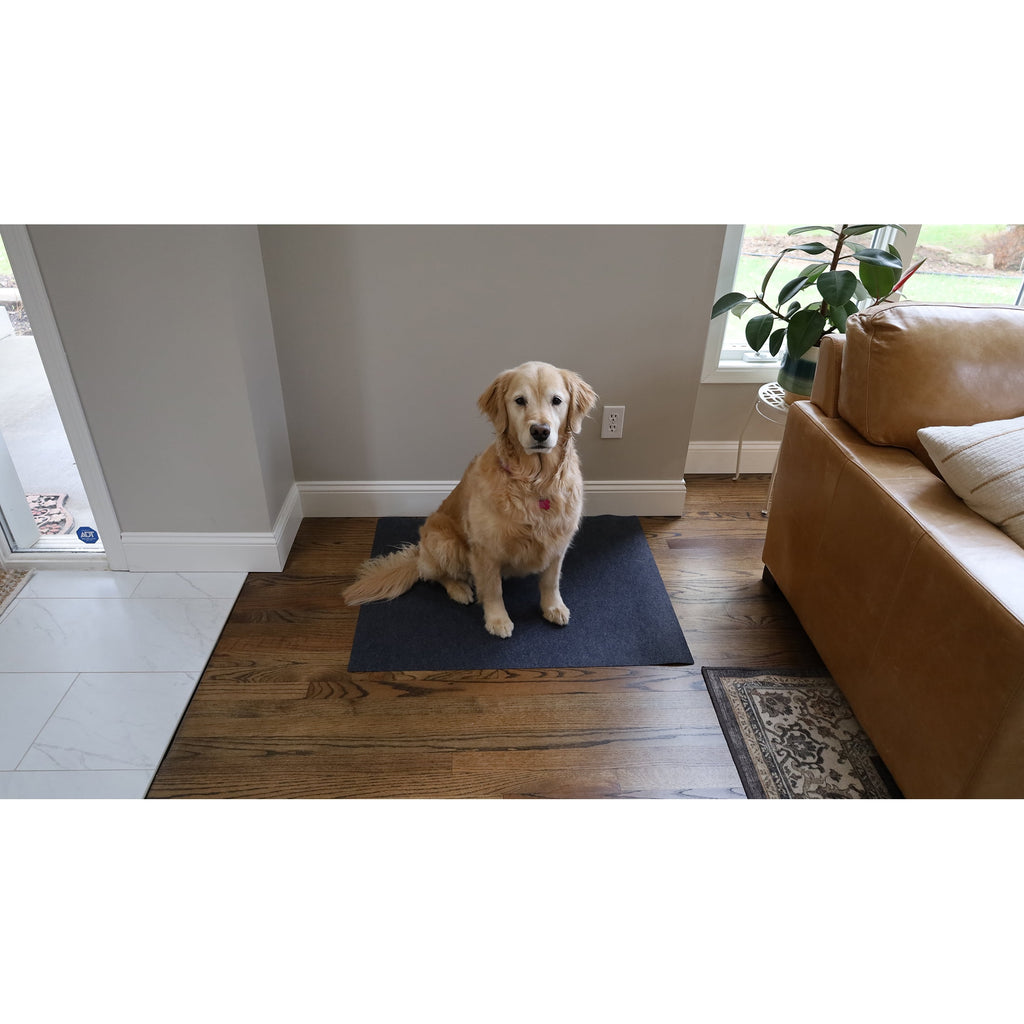 Drymate Washable Potty Pad, Training Mat to Contain Liquids - For Dogs, Cats, and all other animals.