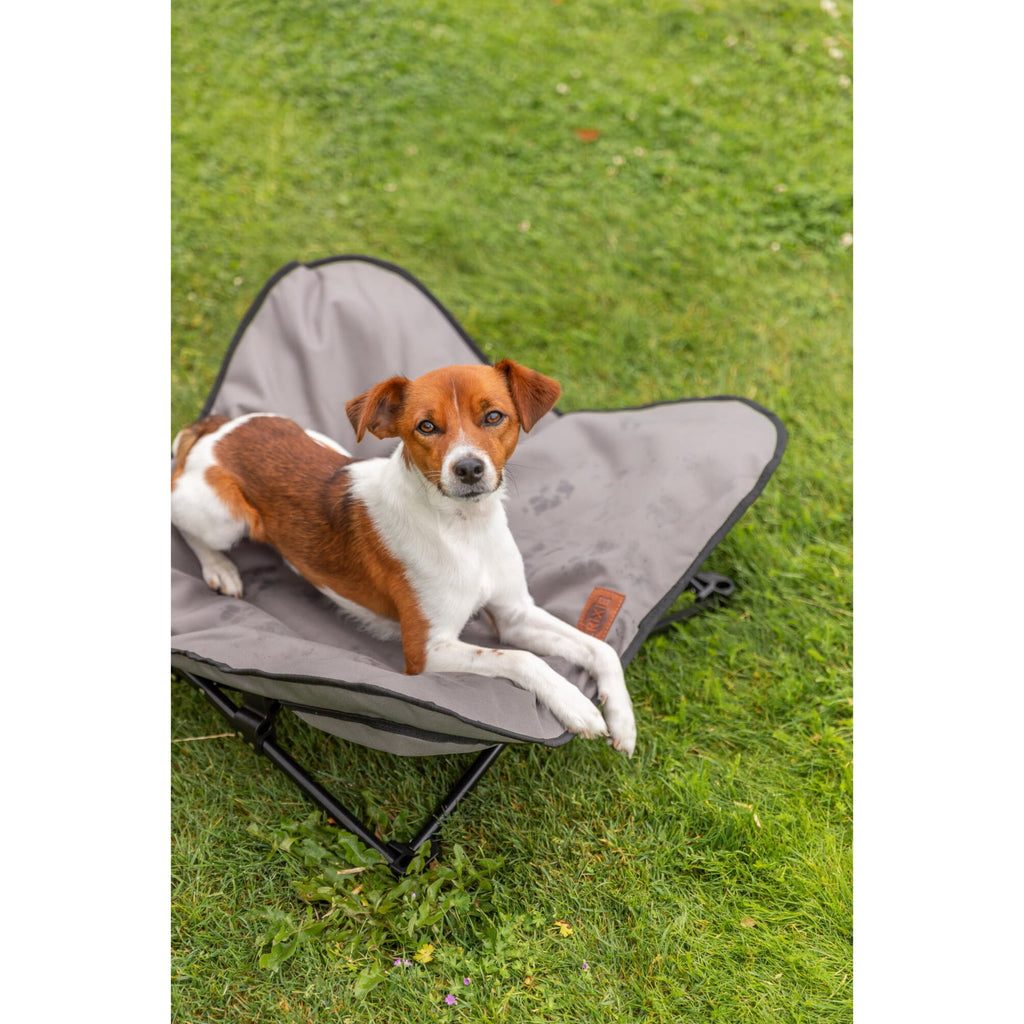 TRIXIE Elevated Camping Cot, Folding Dog Bed, Raised Travel Lounger for Small-Medium Dogs