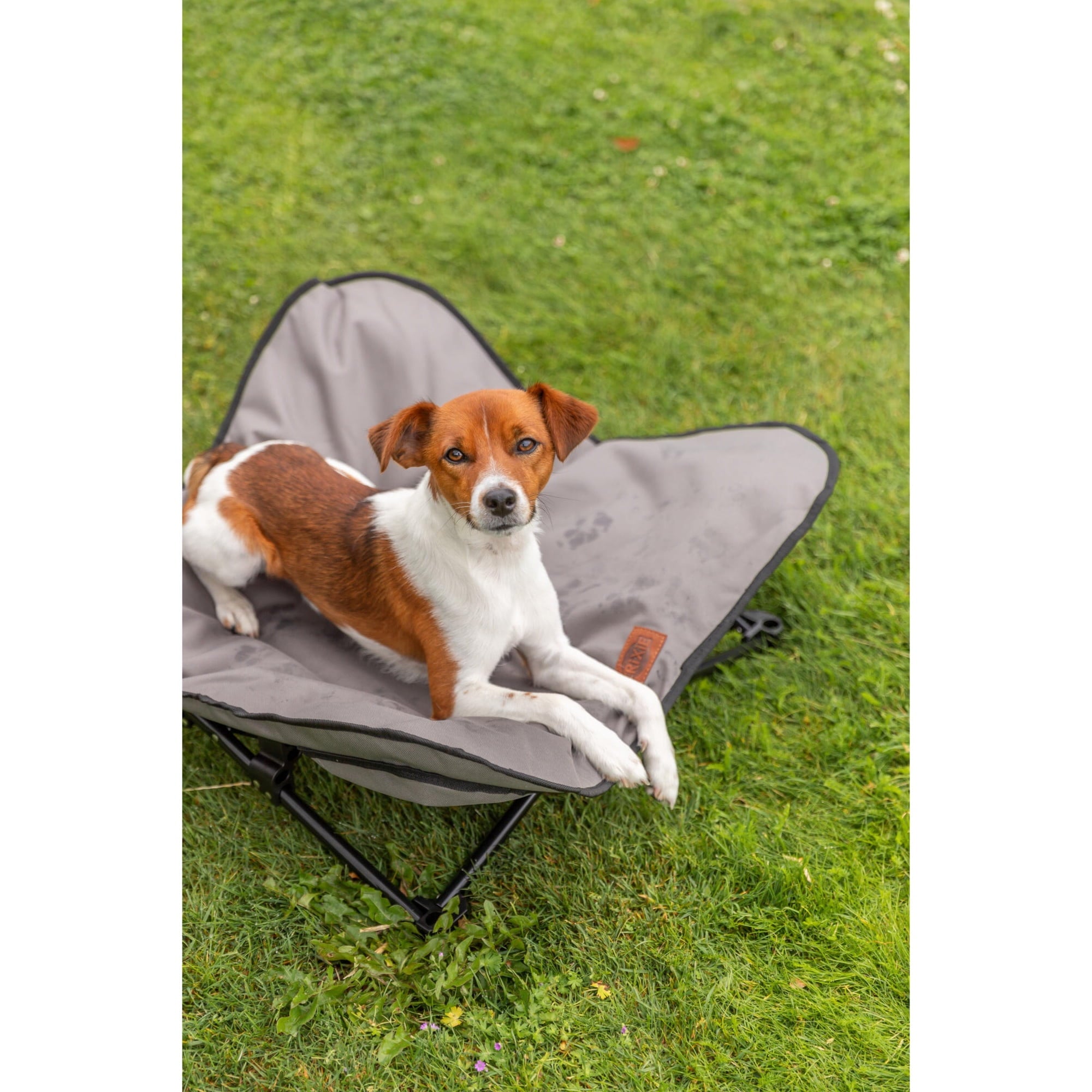 TRIXIE Elevated Camping Cot, Folding Dog Bed, Raised Travel Lounger for Small-Medium Dogs