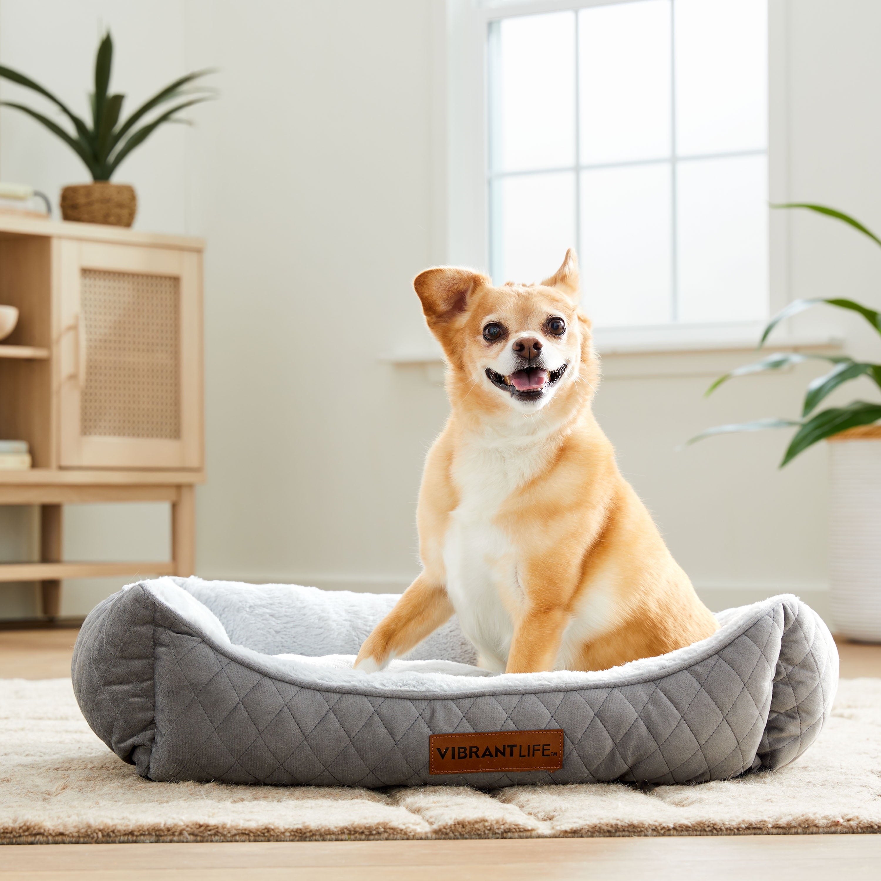 Vibrant Life Quilted Cuddler Pet Bed, 1 Count, 26" x 20"
