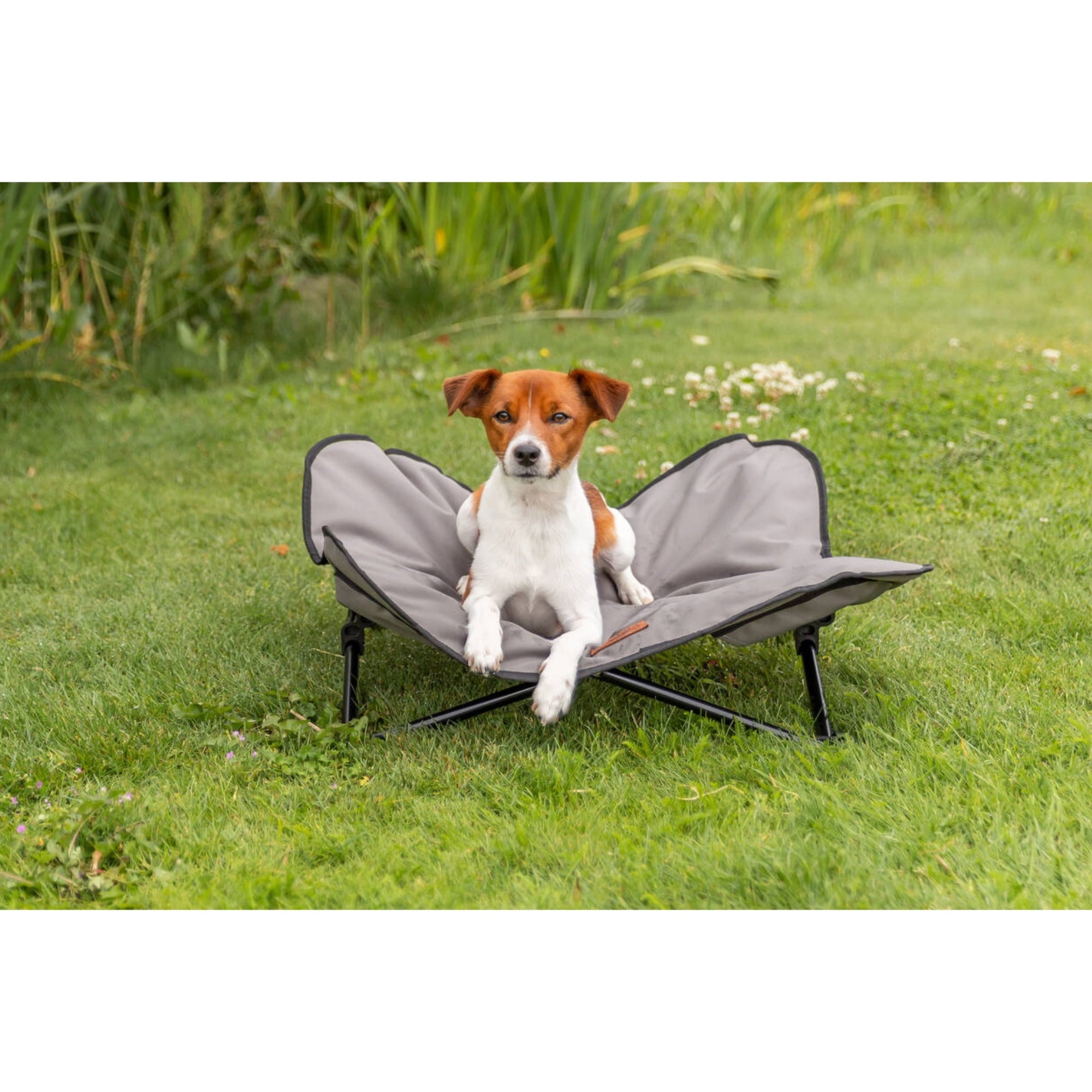TRIXIE Elevated Camping Cot, Folding Dog Bed, Raised Travel Lounger for Small-Medium Dogs