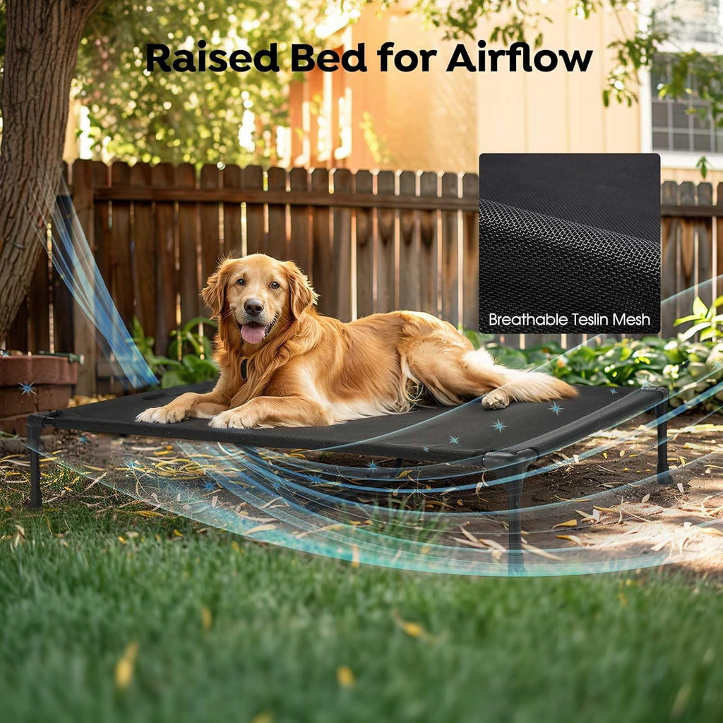 Cooling Raised Dog Bed With Waterproof Double Cushion for Two Dogs, Elevated With Removable Bolster Mat, Breathable Mesh, No-Slip Feet, 59" x 37.5" Couch, Black Silver
