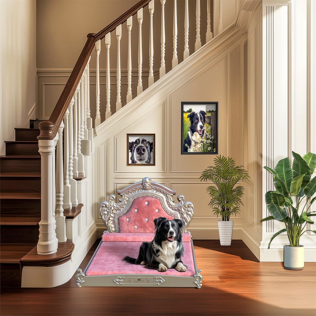 BingoPaw Luxury Pet Bed Dog Orthopedic Bed with Washable Dutch Velvet Cover, Silver Headboard
