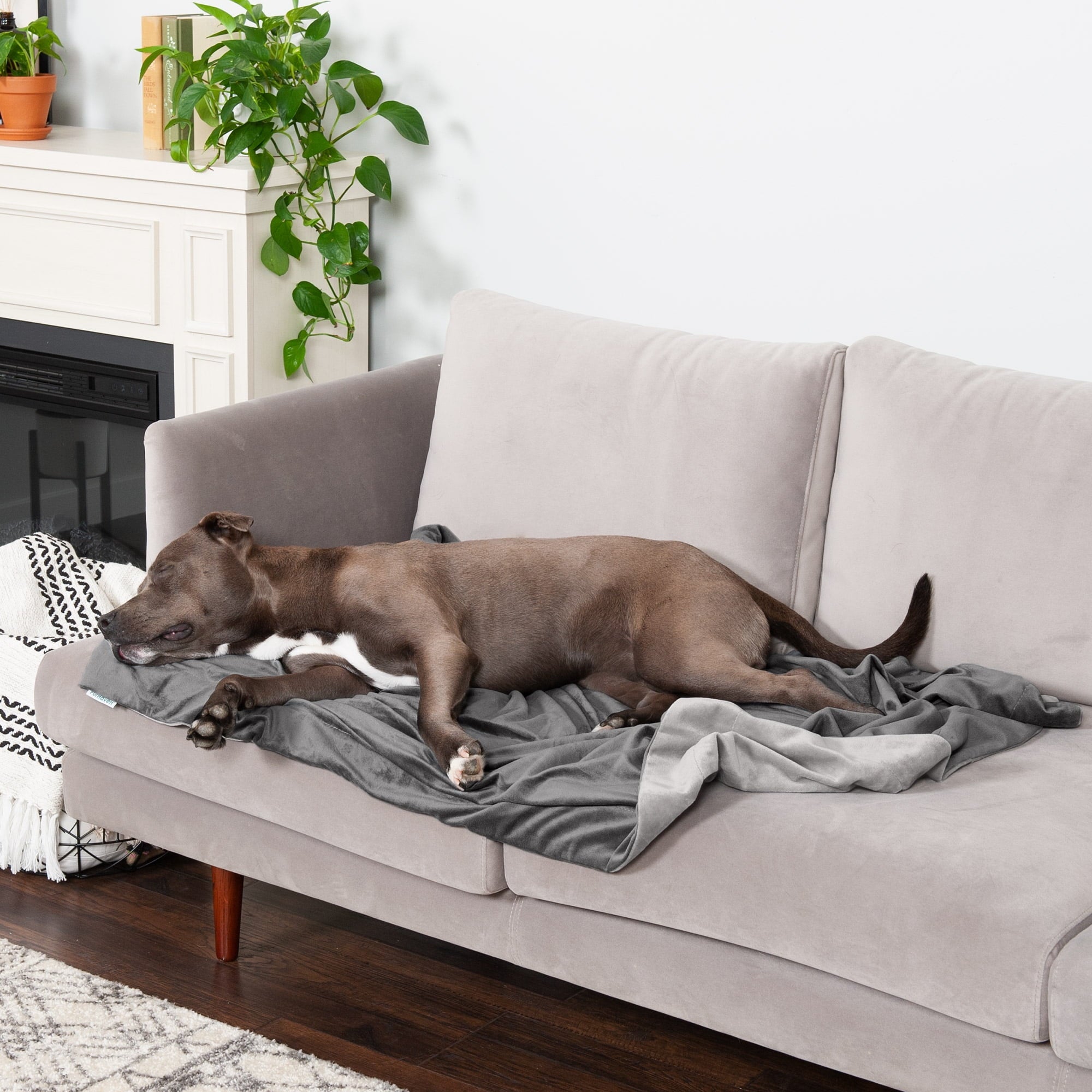 FurHaven Pet Products Waterproof Velvet Throw Blanket - Granite Gray, Large