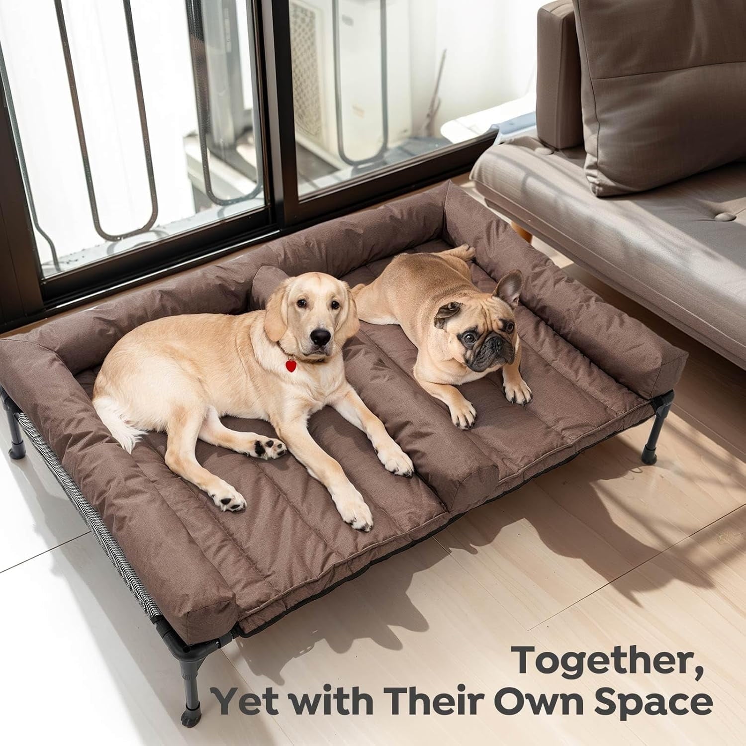 Cooling Raised Dog Bed With Waterproof Double Cushion for Two Dogs, Elevated With Removable Bolster Mat, Breathable Mesh, No-Slip Feet, 59" x 37.5" Couch, Black Silver