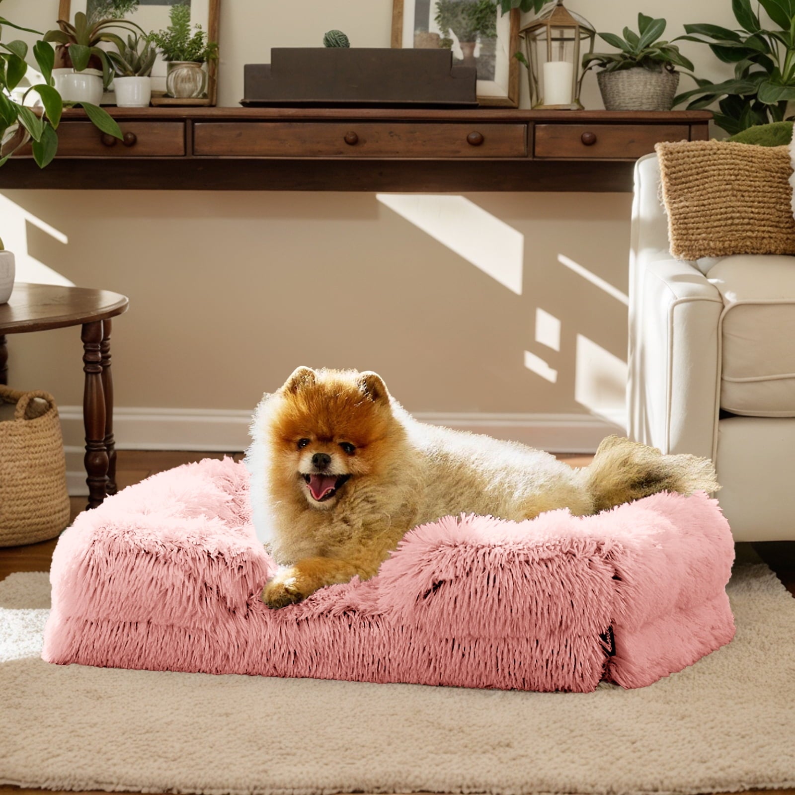 PayUSD Warming Fluffy Orthopedic Dog Beds for Large Dogs,Dog Bed with Plush Thick Egg Foam Support and Non-Slip Bottom, Large Waterproof and Machine Washable Pet Bed Cover