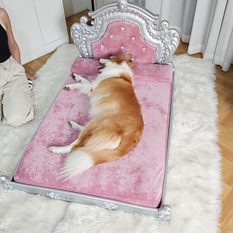 BingoPaw Luxury Pet Bed Dog Orthopedic Bed with Washable Dutch Velvet Cover, Silver Headboard
