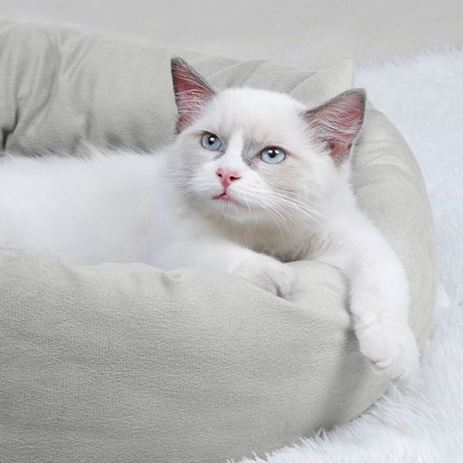 Calming Cat Beds with Pillow for Small Medium Dogs and Cats, Round Dog Puppy Cuddler Cozy Bed, Washable Fluffy Plush Pet Bed Thickened Dog Kennel Mat for Puppy Sleeping, S 40CM