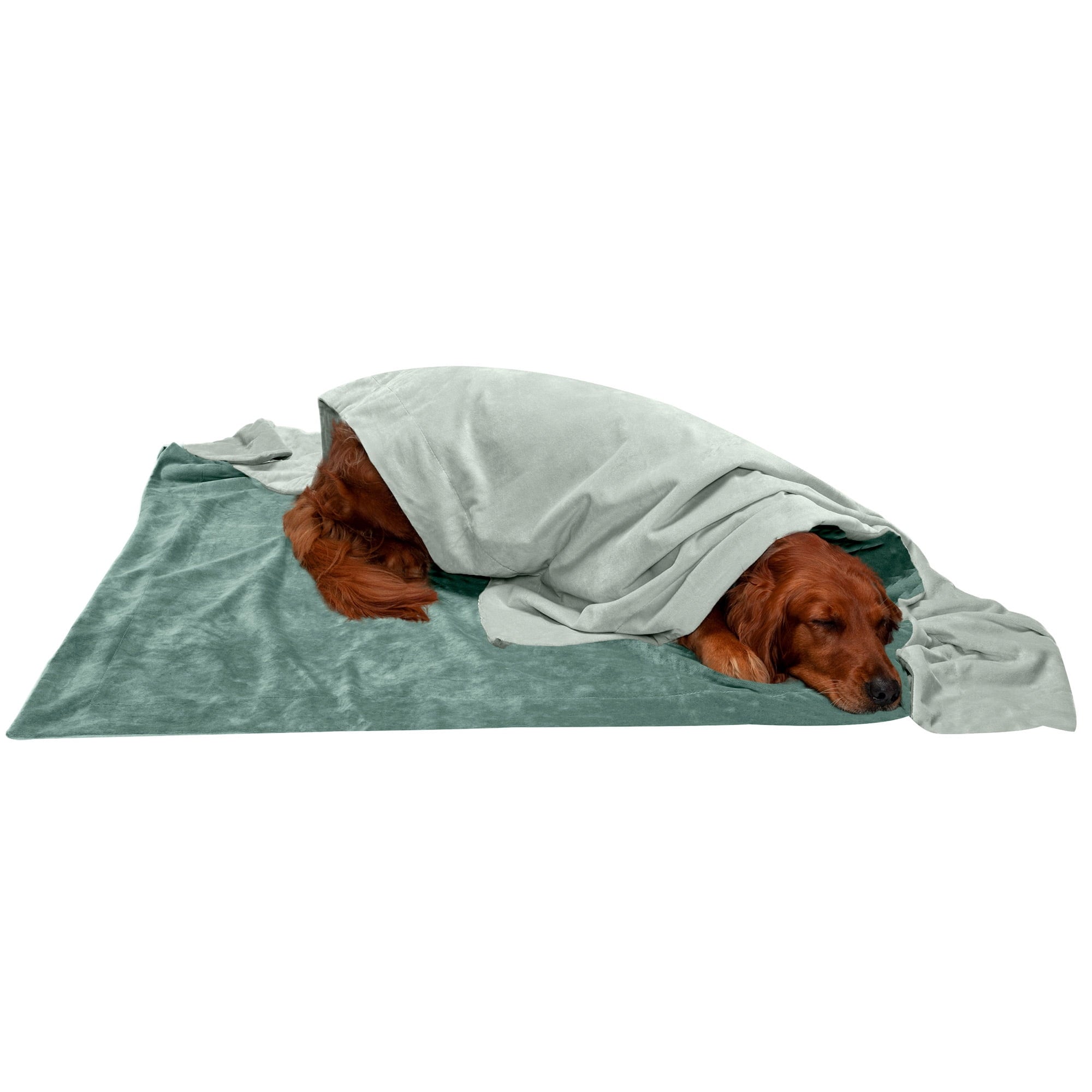 FurHaven Pet Products Waterproof Velvet Throw Blanket - Granite Gray, Large