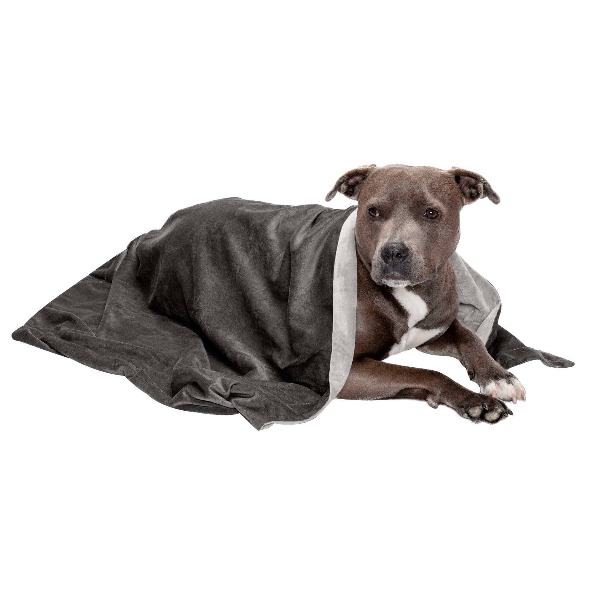 FurHaven Pet Products Waterproof Velvet Throw Blanket - Granite Gray, Large