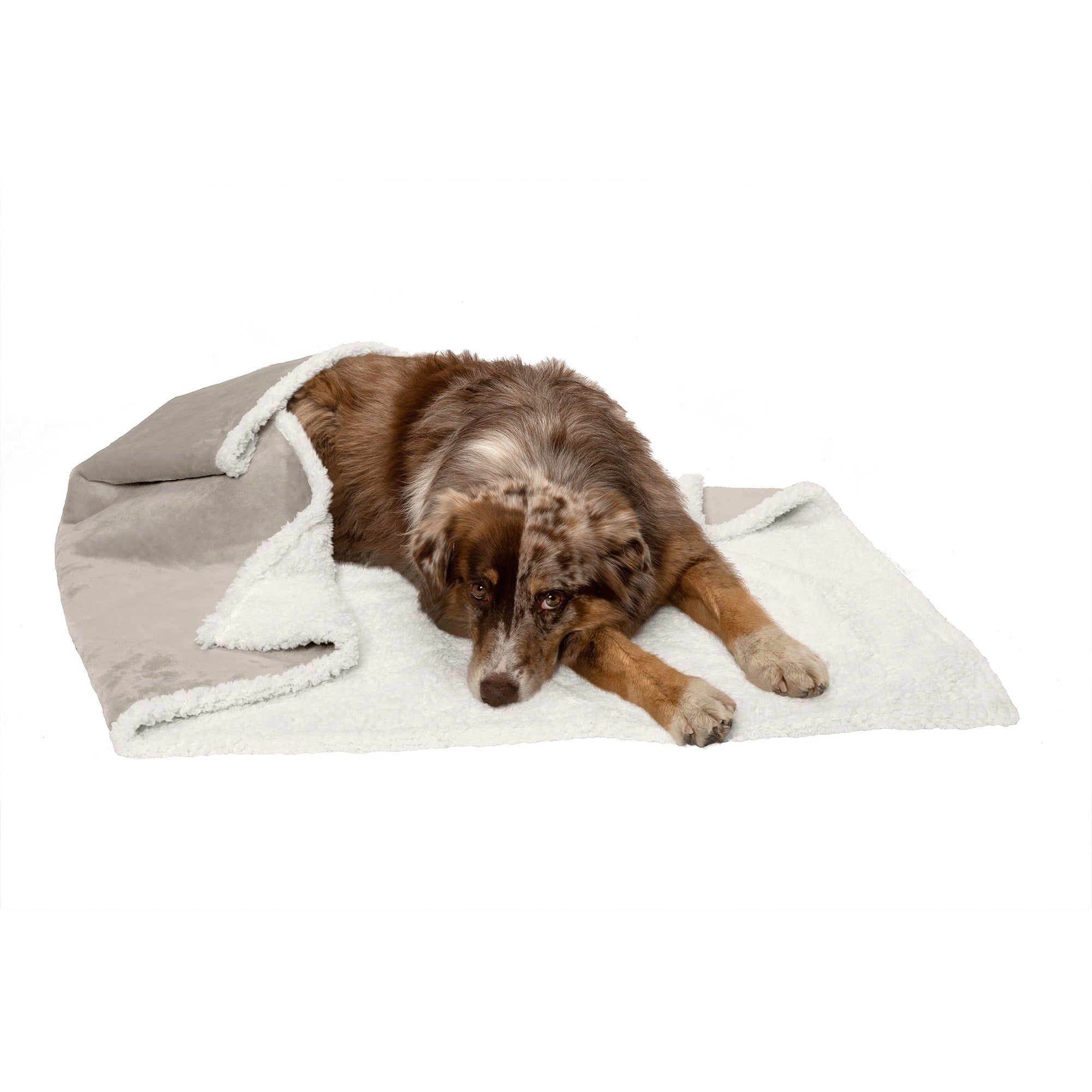 Furhaven Waterproof & Self-Warming Throw Blanket for Dogs & Indoor Cats, Washable & Reflects Body Heat - Soft-Edged Terry & Sherpa Dog Blanket - Espresso, Small