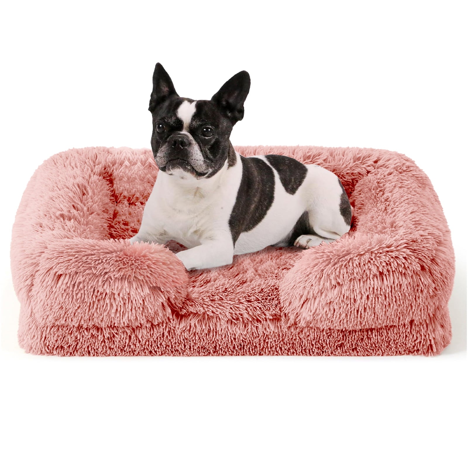 PayUSD Warming Fluffy Orthopedic Dog Beds for Large Dogs,Dog Bed with Plush Thick Egg Foam Support and Non-Slip Bottom, Large Waterproof and Machine Washable Pet Bed Cover
