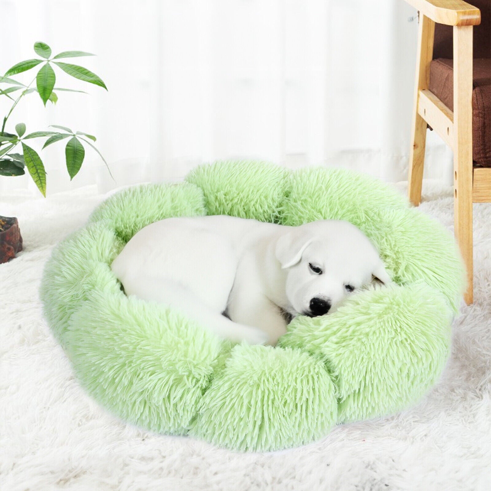 Sennaux Calming Pet Bed for Dogs Cats Soft Flower-Shape Plush Dog Bed, Dark Gray, 19.7"