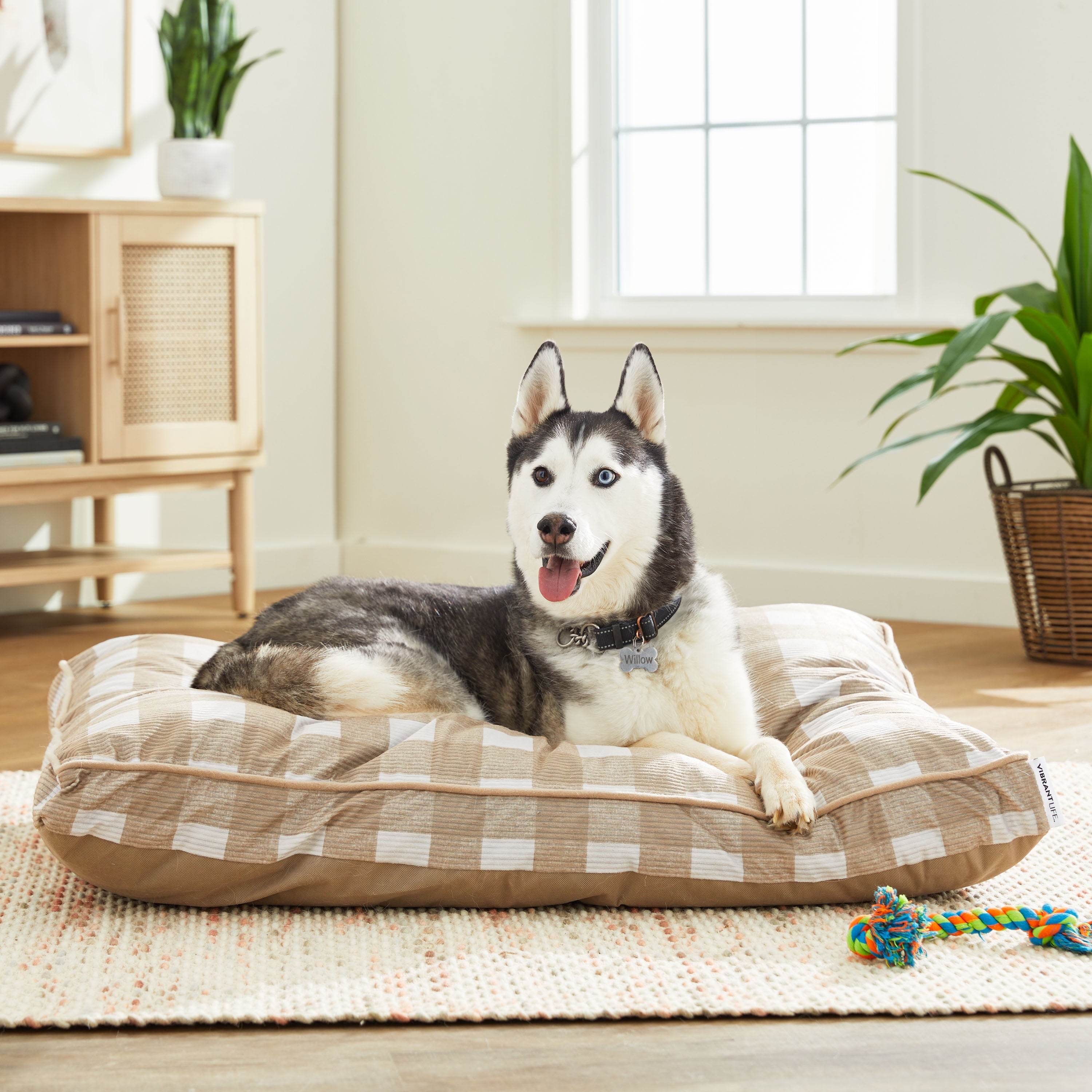 Vibrant Life Bed for Dogs, Gusseted Mat, Removable & Washable Cover, Tan Plaid, 42" x 32"